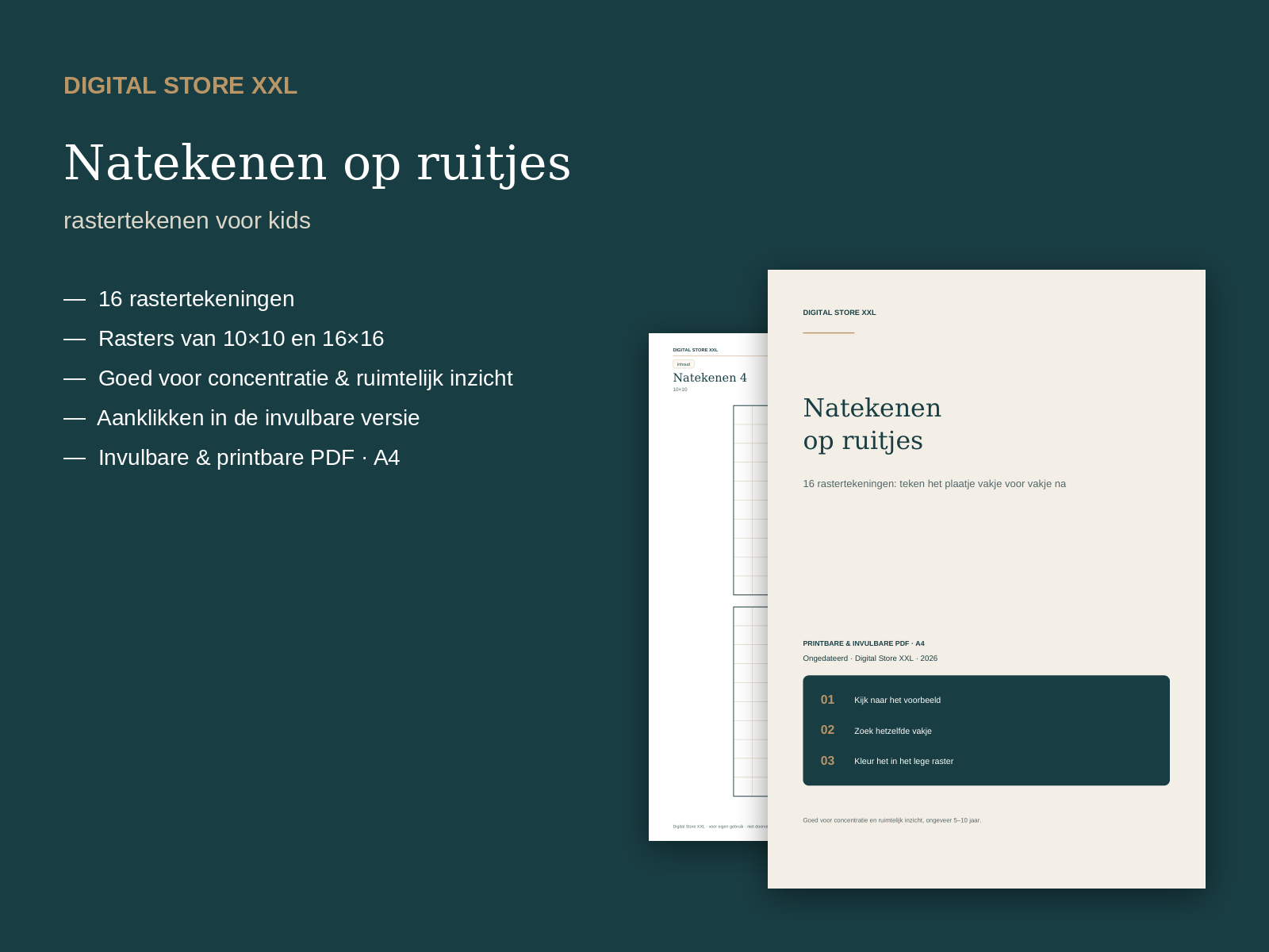 Natekenen op Ruitjes