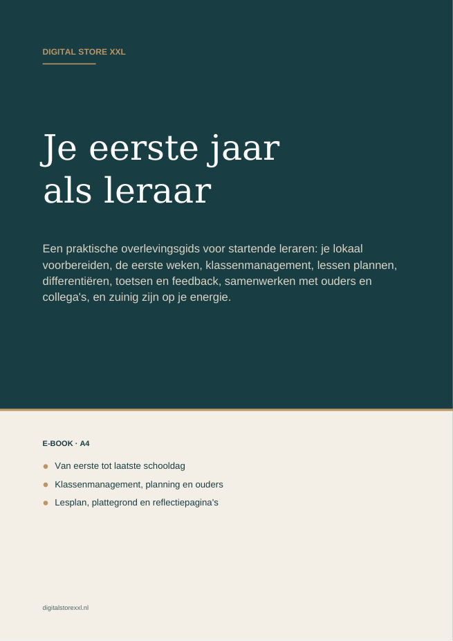 Je eerste jaar als leraar — voorbeeldpagina 1
